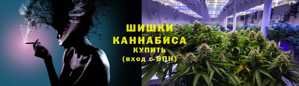 стаф Елабуга