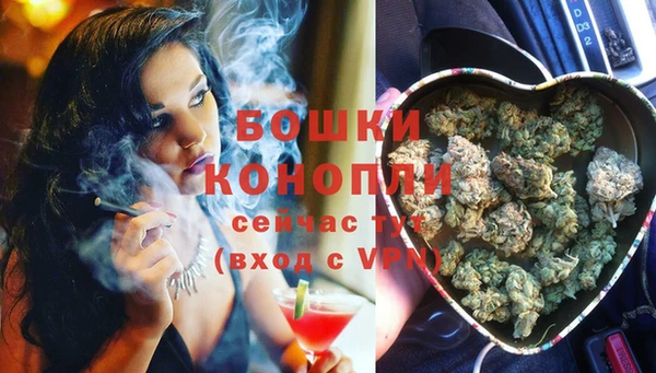 стаф Елабуга