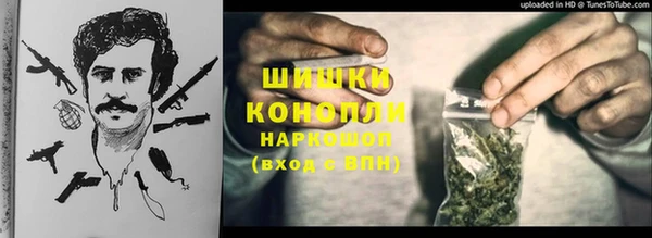 стаф Елабуга