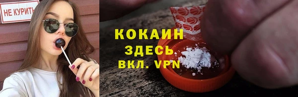мяу мяу мука Елизово