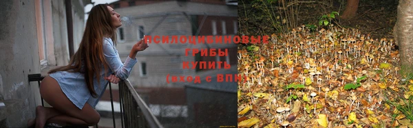 стаф Елабуга