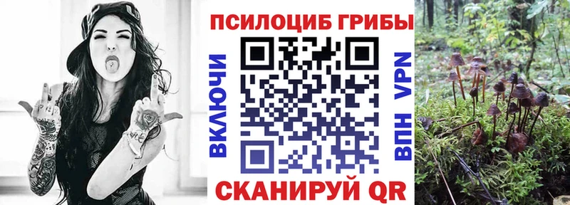 Галлюциногенные грибы GOLDEN TEACHER  Купить где  Кингисепп 